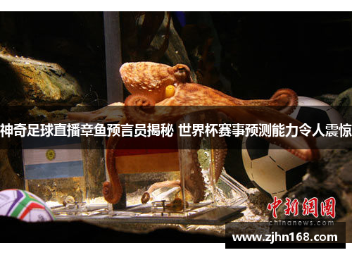 神奇足球直播章鱼预言员揭秘 世界杯赛事预测能力令人震惊
