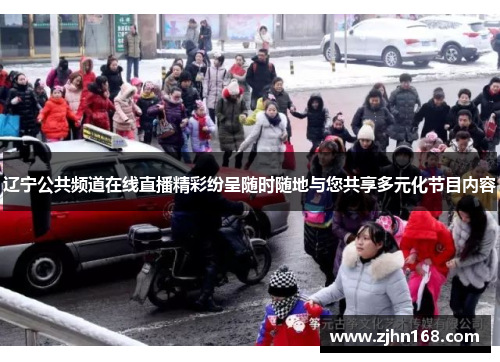 辽宁公共频道在线直播精彩纷呈随时随地与您共享多元化节目内容